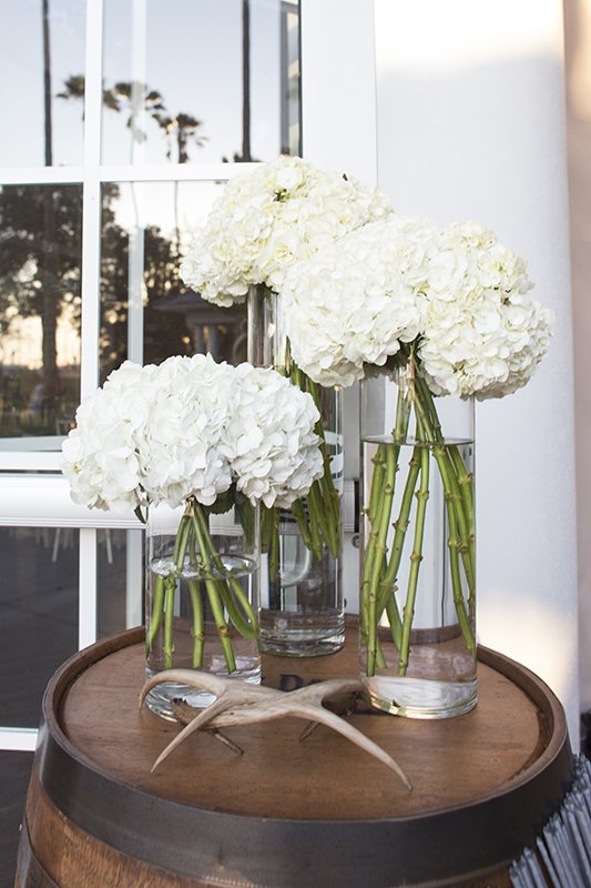 Ft. Myers photographer