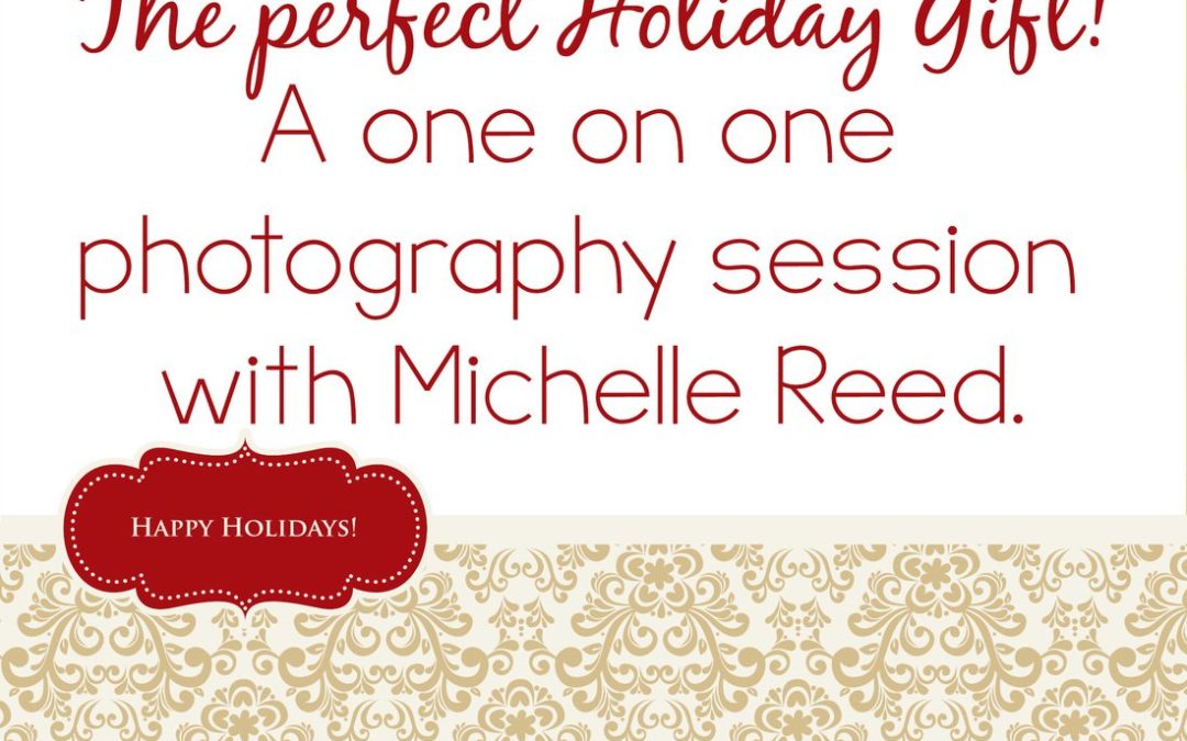 Michelle Reed’s School of Photography | Naples, FL﻿