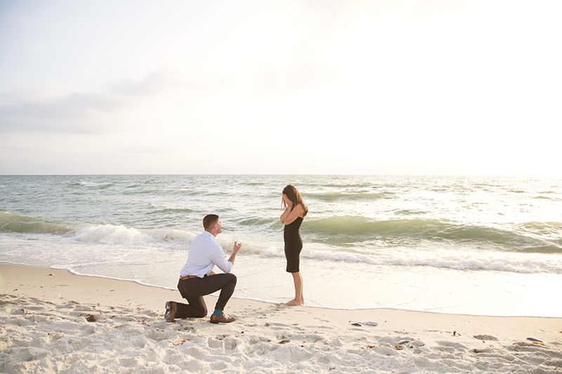Proposal/Engagement - Michelle Reed Photography