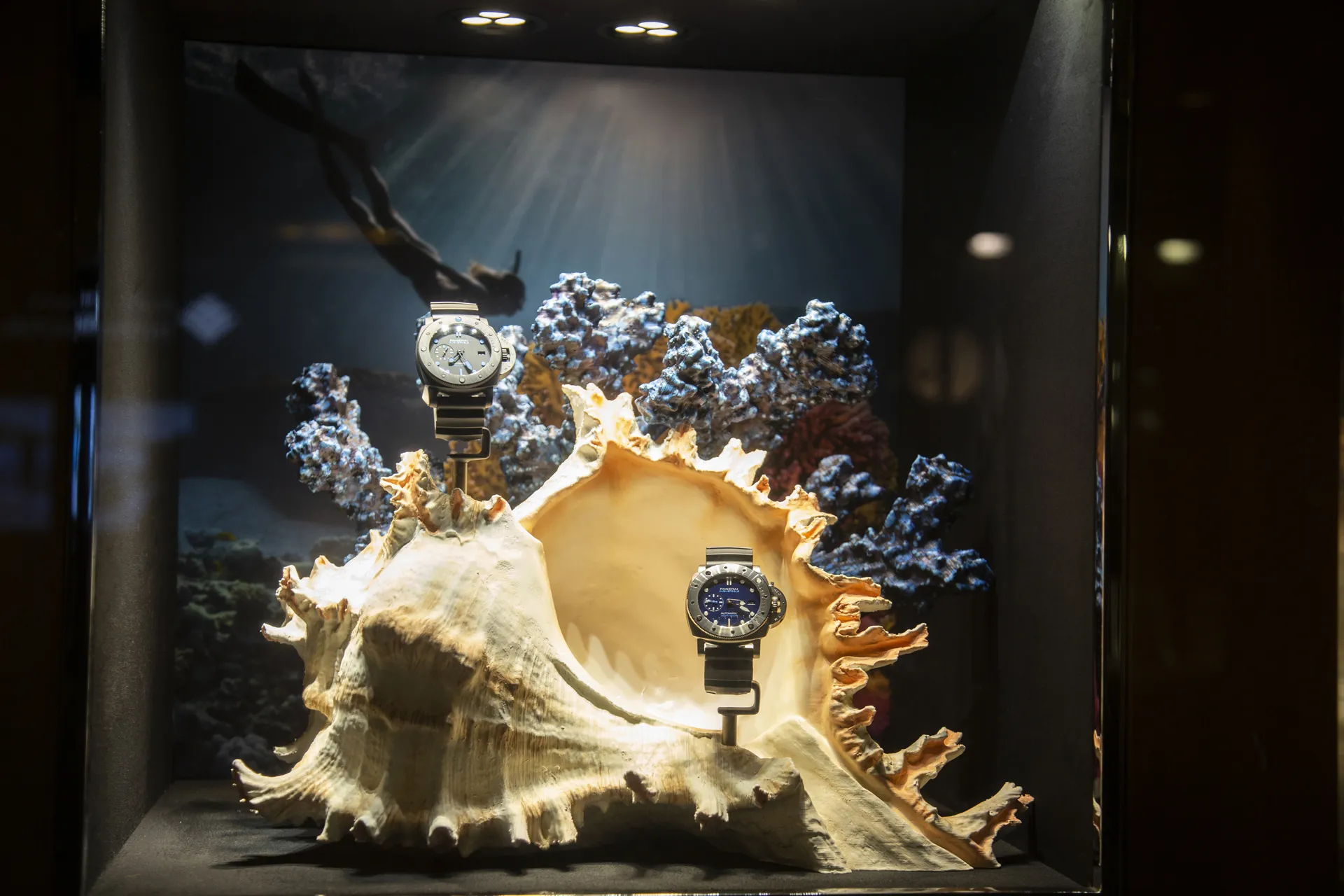 Product Photographer copy